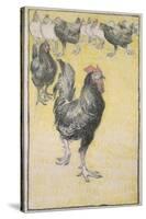 Cockerel-Theophile Alexandre Steinlen-Stretched Canvas