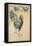 Cockerel-Theophile Alexandre Steinlen-Framed Stretched Canvas