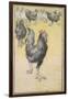 Cockerel-Theophile Alexandre Steinlen-Framed Giclee Print