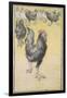 Cockerel-Theophile Alexandre Steinlen-Framed Giclee Print