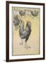 Cockerel-Theophile Alexandre Steinlen-Framed Giclee Print