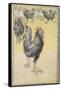 Cockerel-Theophile Alexandre Steinlen-Framed Stretched Canvas