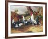 Cockerels in a Landscape-William Joseph Shayer-Framed Giclee Print