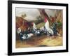 Cockerels in a Landscape-William Joseph Shayer-Framed Giclee Print