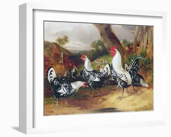 Cockerels in a Landscape-William Joseph Shayer-Framed Giclee Print