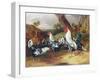 Cockerels in a Landscape-William Joseph Shayer-Framed Giclee Print