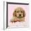 Cockerpoo Puppy (7 Weeks Old) with Pink Background-null-Framed Photographic Print