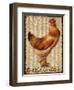 Cockle-DoodleDo-Kate Ward Thacker-Framed Giclee Print