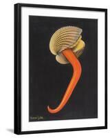 Cockle-Philip Henry Gosse-Framed Giclee Print