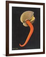 Cockle-Philip Henry Gosse-Framed Giclee Print