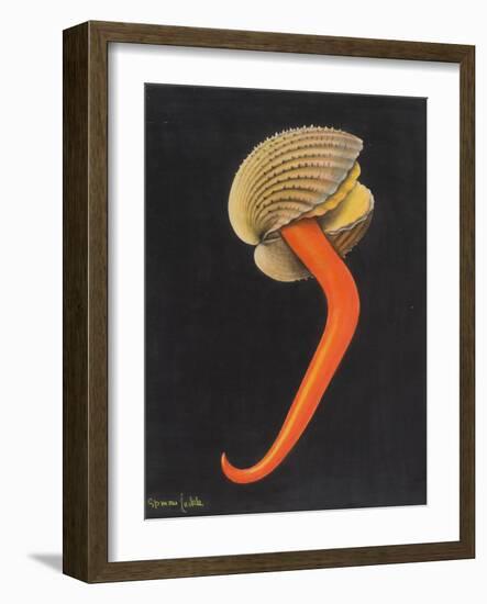 Cockle-Philip Henry Gosse-Framed Giclee Print