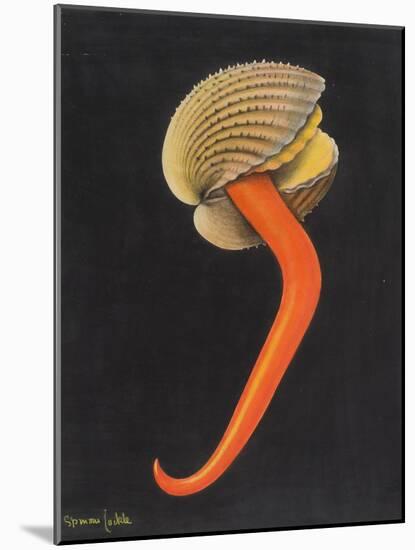 Cockle-Philip Henry Gosse-Mounted Giclee Print