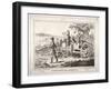 Cockney Sportsmen, London, 1800-James Gillray-Framed Giclee Print