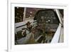 Cockpit of a P-40E Warhawk-null-Framed Photographic Print