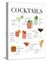 Cocktail Chart-Natalie Carpentieri-Stretched Canvas