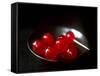 Cocktail Cherries in a Black Bowl-Michael Paul-Framed Stretched Canvas