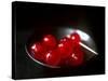 Cocktail Cherries in a Black Bowl-Michael Paul-Stretched Canvas