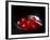 Cocktail Cherries in a Black Bowl-Michael Paul-Framed Photographic Print