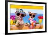 Cocktail Dogs-Javier Brosch-Framed Photographic Print