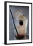 Cocktail Hour VI-Erin Berzel-Framed Photographic Print