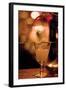 Cocktail Hour XIV-Erin Berzel-Framed Photographic Print