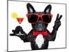 Cocktail Party Dog-Javier Brosch-Mounted Premium Photographic Print