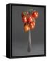 Cocktail Tomatoes on Fork-Hannes Eichinger-Framed Stretched Canvas