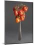 Cocktail Tomatoes on Fork-Hannes Eichinger-Mounted Photographic Print