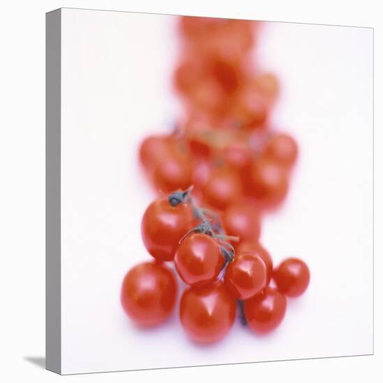 Cocktail Tomatoes-Stefan Braun-Stretched Canvas