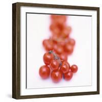 Cocktail Tomatoes-Stefan Braun-Framed Photographic Print