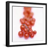Cocktail Tomatoes-Stefan Braun-Framed Photographic Print