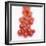 Cocktail Tomatoes-Stefan Braun-Framed Photographic Print