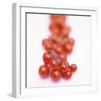 Cocktail Tomatoes-Stefan Braun-Framed Photographic Print