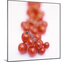 Cocktail Tomatoes-Stefan Braun-Mounted Photographic Print