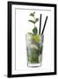 Cocktail-Fabio Petroni-Framed Premium Photographic Print