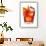 Cocktail-Fabio Petroni-Framed Premium Photographic Print displayed on a wall