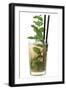 Cocktail-Fabio Petroni-Framed Photographic Print