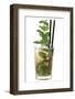 Cocktail-Fabio Petroni-Framed Photographic Print