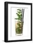 Cocktail-Fabio Petroni-Framed Photographic Print