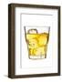 Cocktail-Fabio Petroni-Framed Photographic Print