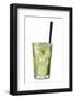 Cocktail-Fabio Petroni-Framed Photographic Print