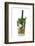 Cocktail-Fabio Petroni-Framed Photographic Print