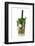 Cocktail-Fabio Petroni-Framed Photographic Print