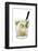 Cocktail-Fabio Petroni-Framed Photographic Print