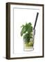 Cocktail-Fabio Petroni-Framed Photographic Print