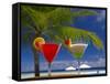 Cocktails by the Pool-Papadopoulos Sakis-Framed Stretched Canvas