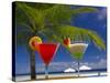 Cocktails by the Pool-Papadopoulos Sakis-Stretched Canvas