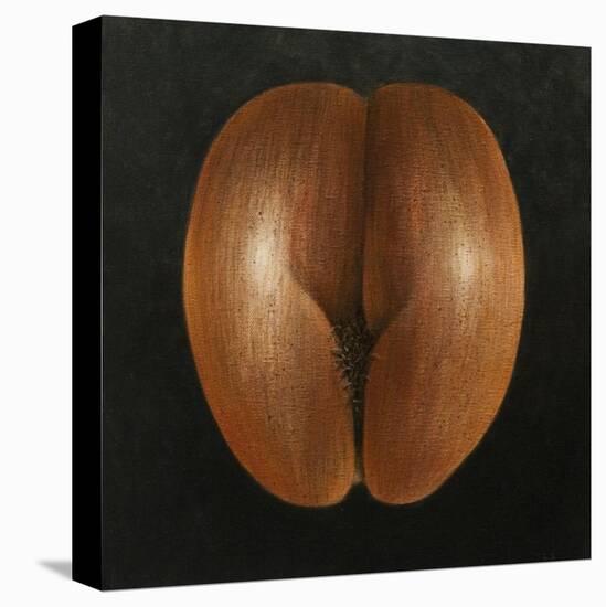 Coco De Mer, 2010-Lincoln Seligman-Stretched Canvas