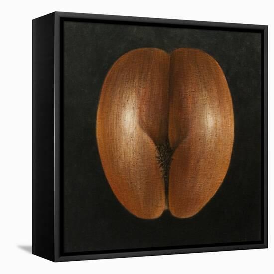 Coco De Mer, 2010-Lincoln Seligman-Framed Stretched Canvas