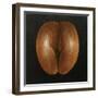 Coco De Mer, 2010-Lincoln Seligman-Framed Giclee Print